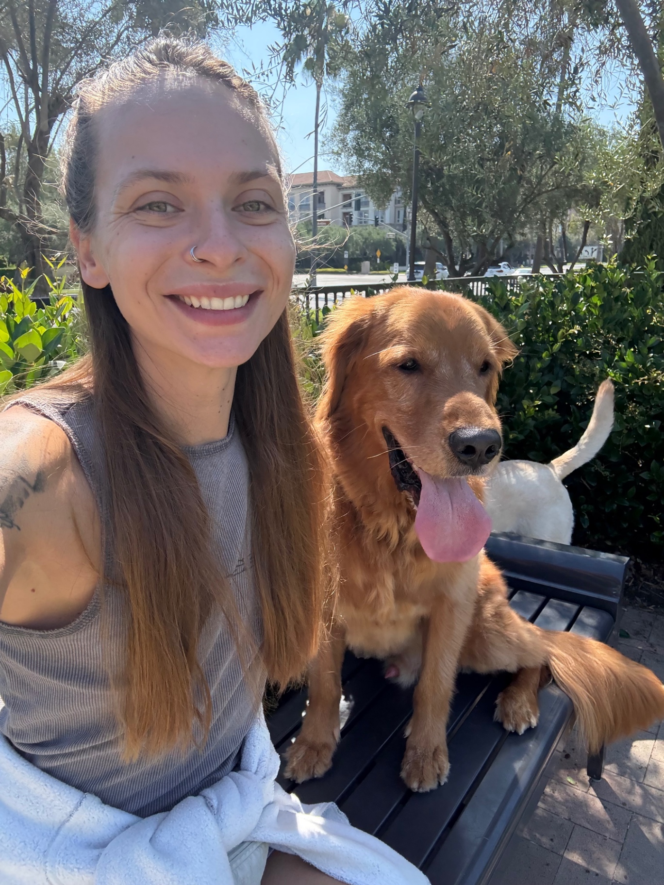 upload 1765836710389