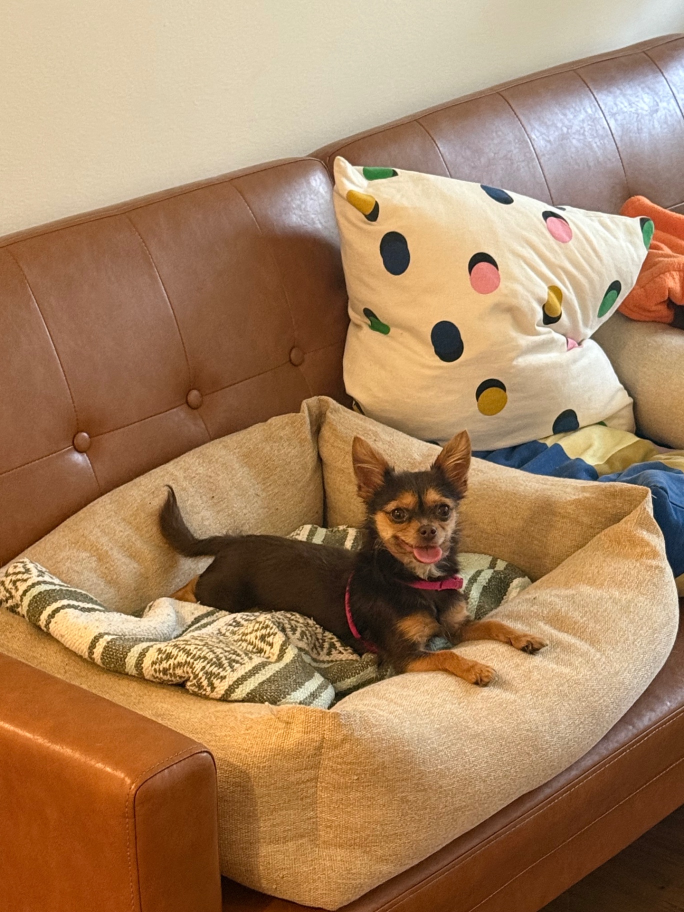 upload 1765836816782