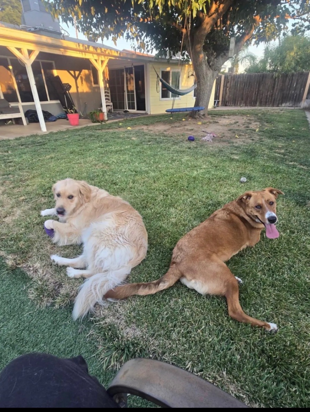 upload 1765779074131