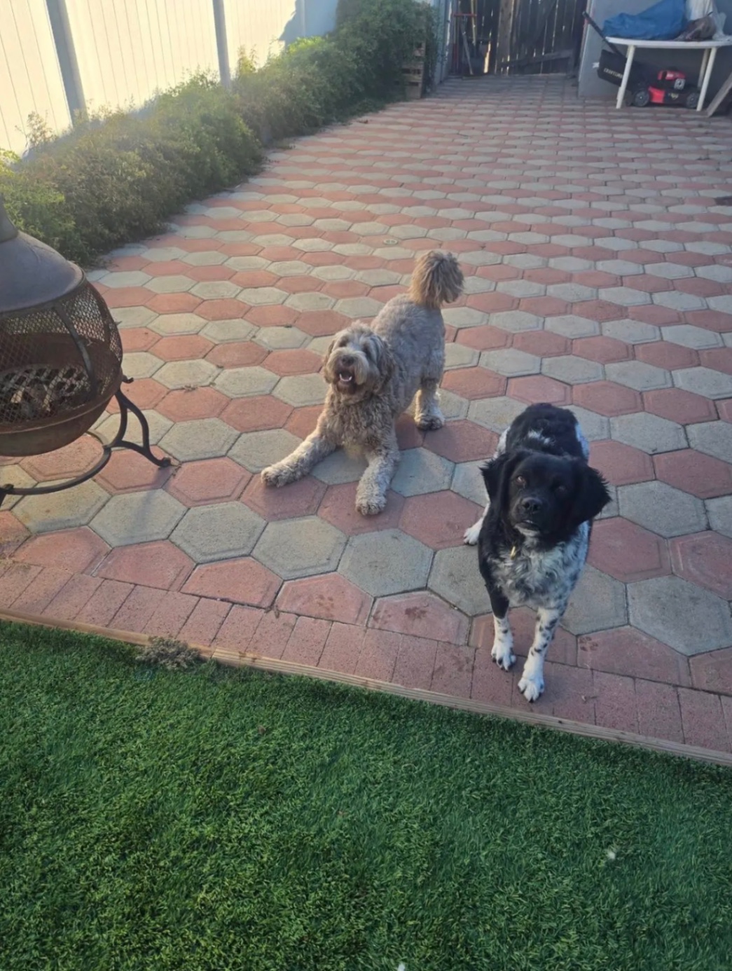 upload 1765779075754