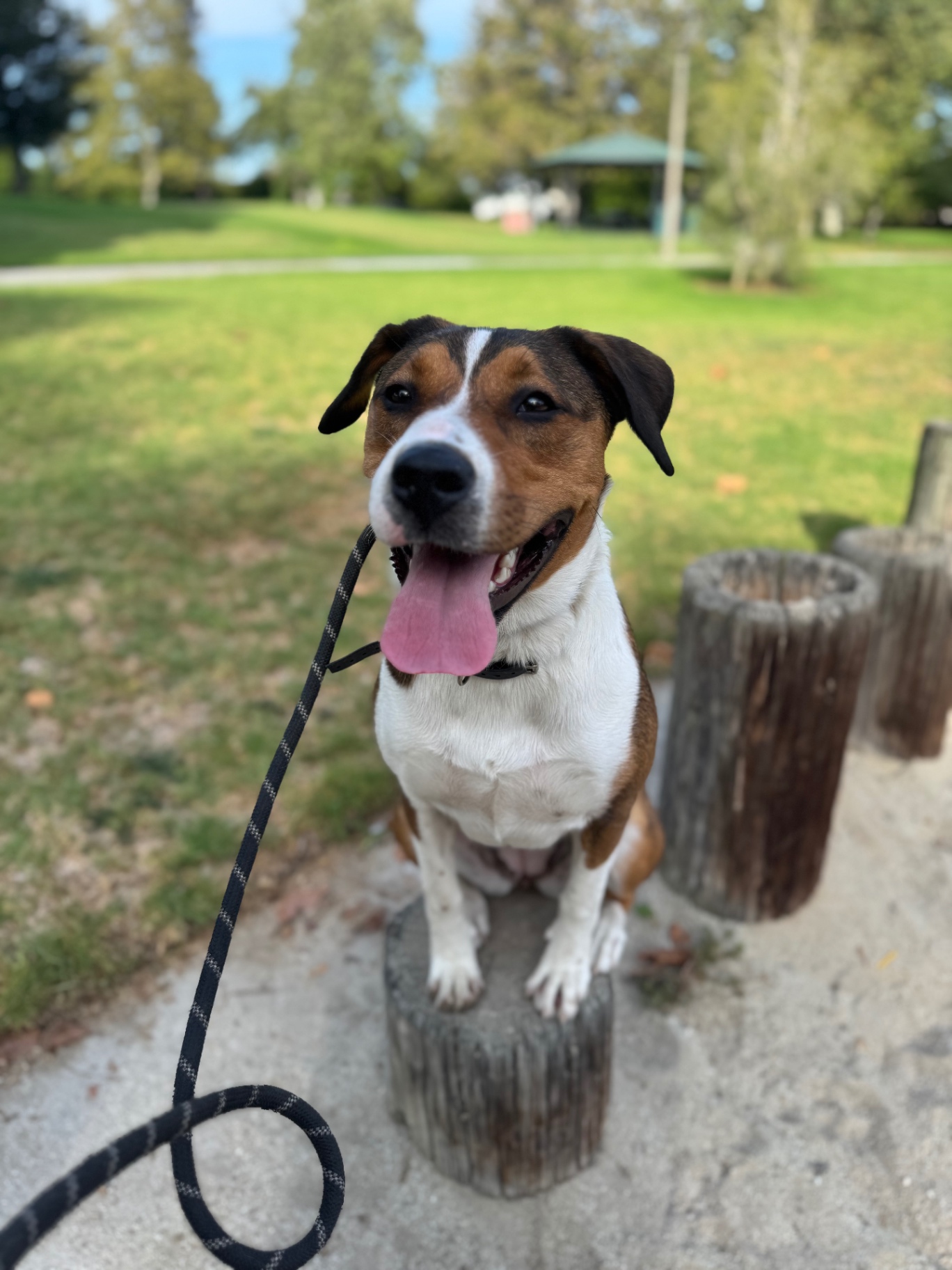 upload 1772501218986