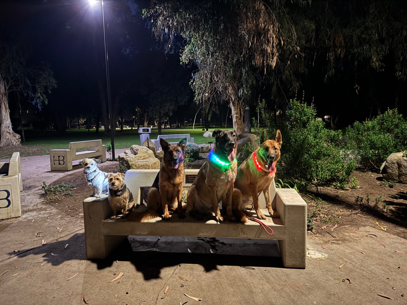 upload 1772501224781