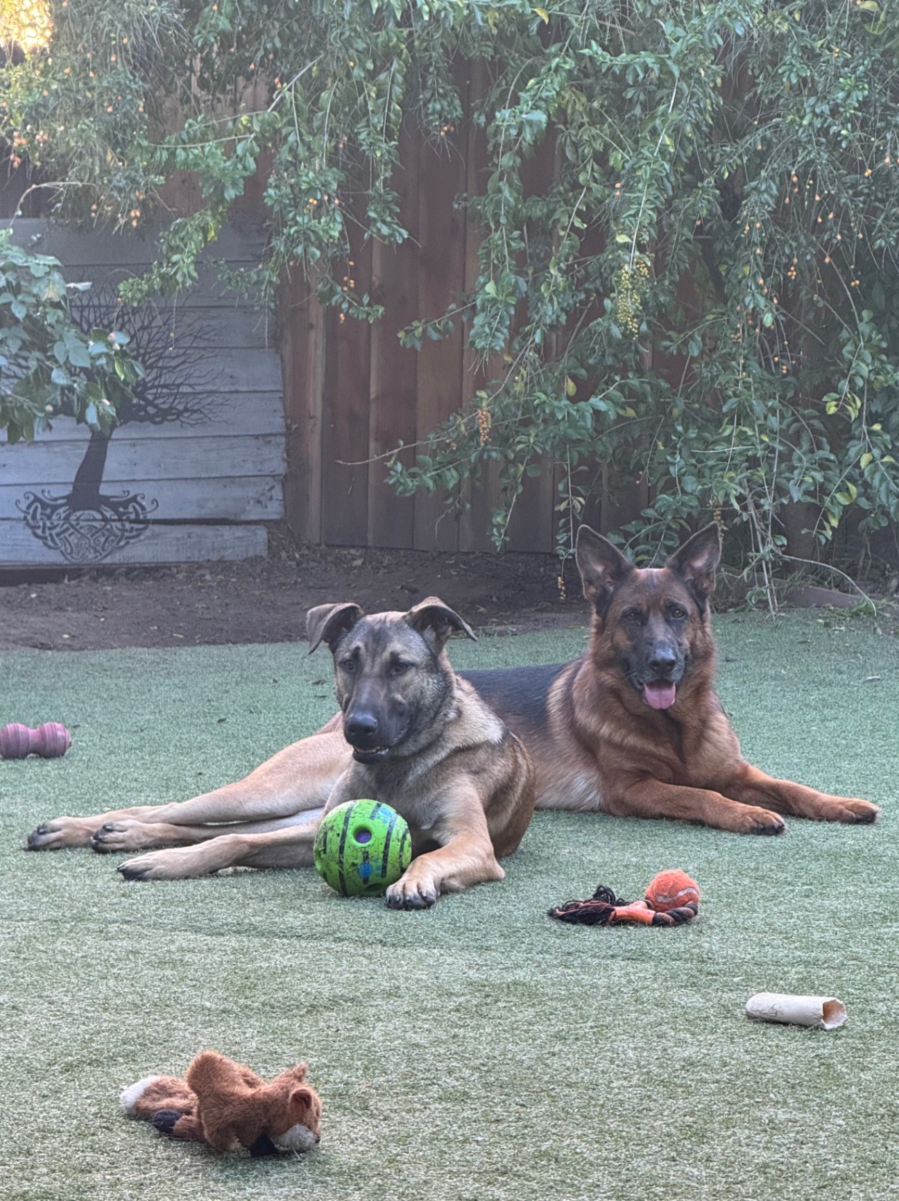 upload 1772501228943