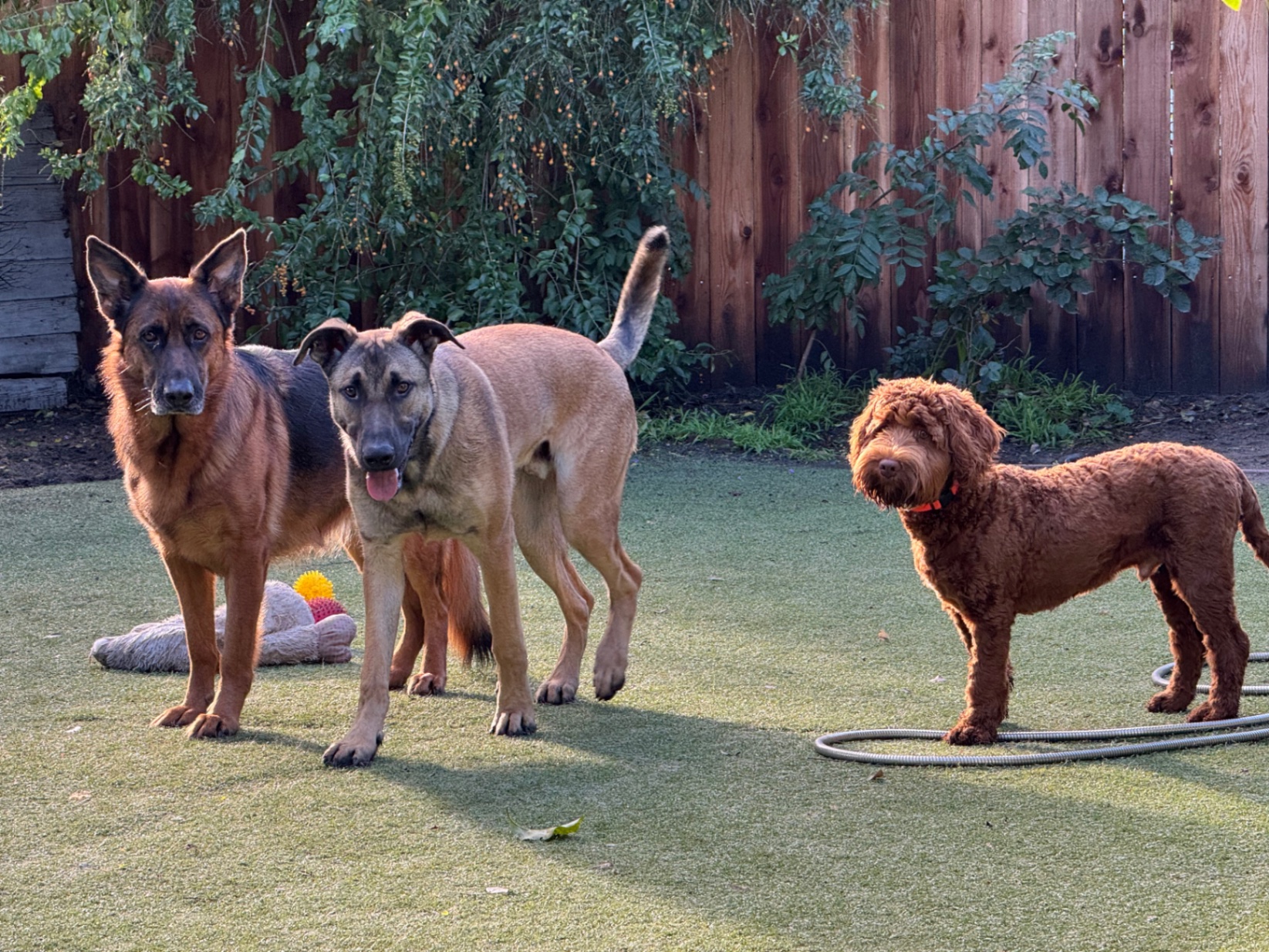 upload 1772501261455