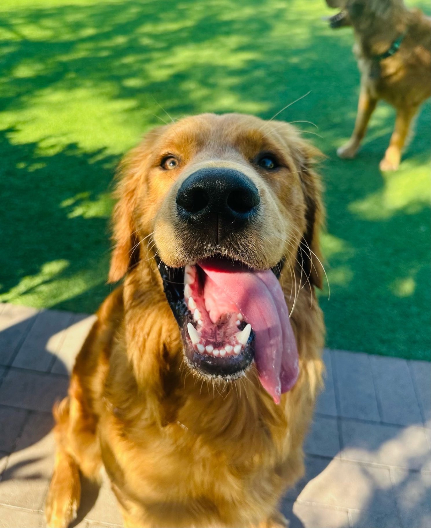 upload 1765777518698