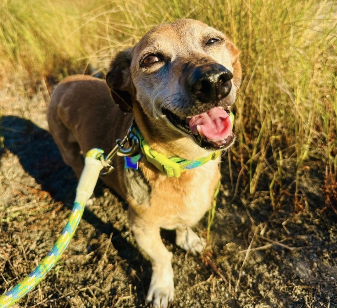 upload 1765777527473