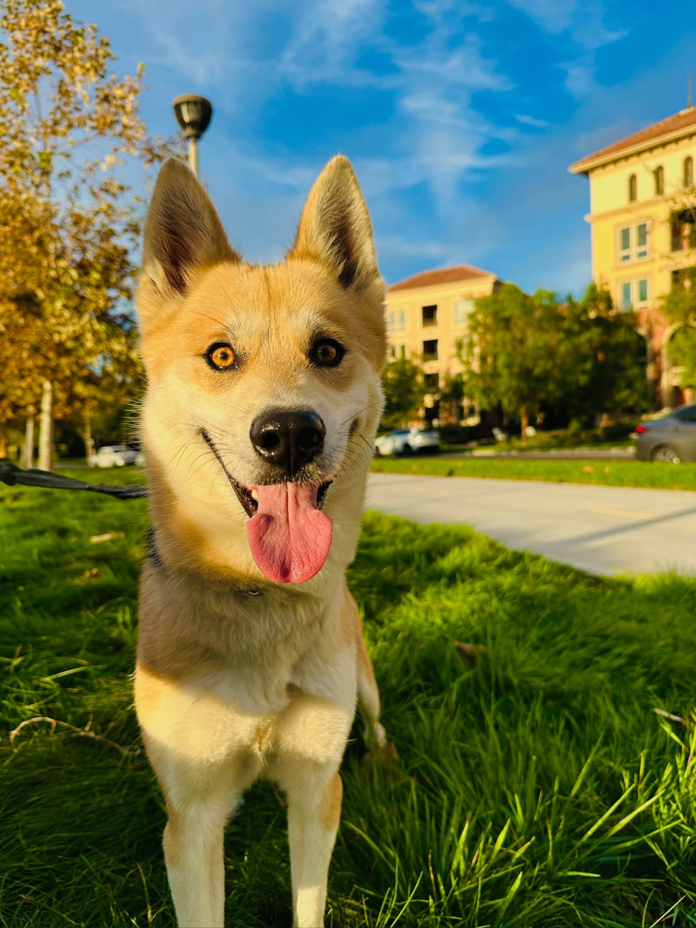 upload 1765777529660